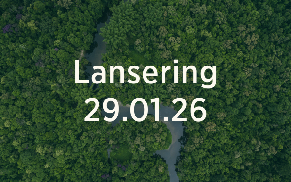 Aerial view of dense rainforest in Brazil.